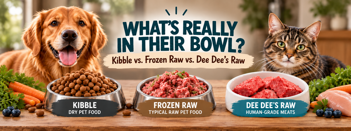 A comparison graphic for pet food showing a golden retriever on the left and a tabby cat on the right, with three bowls of food labelled Kibble, Frozen Raw, and Dee Dee's Raw. Large text reads 'WHAT'S REALLY IN THEIR BOWL? Kibble vs.Frozen Raw vs Dee Dee's Raw